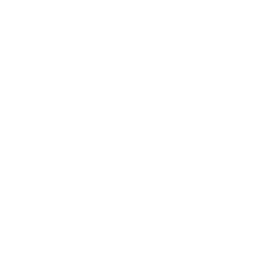 shape