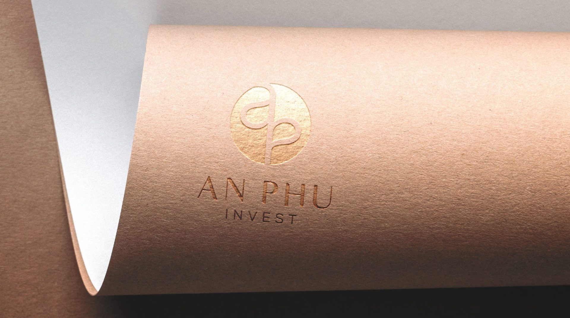 An Phú Logo Guide Line-hình ảnh-9